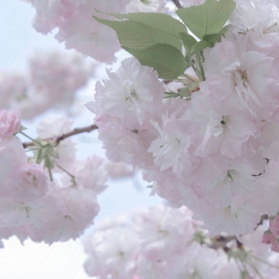 兽设配饰设计灵感合集Furry群